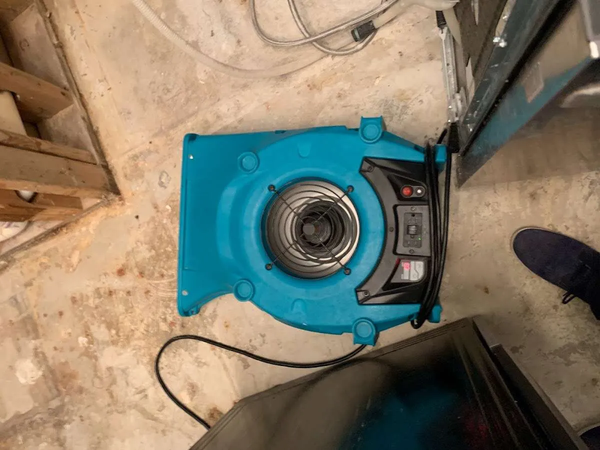 Air mover drying equipment for Mold Remediation & Removal in Lenox